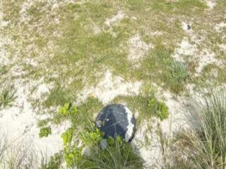 6 person holiday home in Blokhus-By Traum - 9