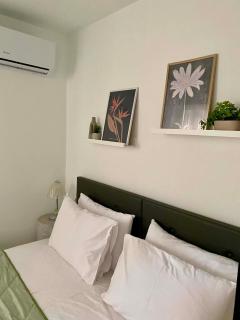 Nikol's central suite 2 - 7