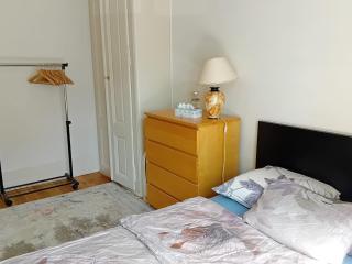 Spacious unique 150m2 apartment Geneva city center - 5