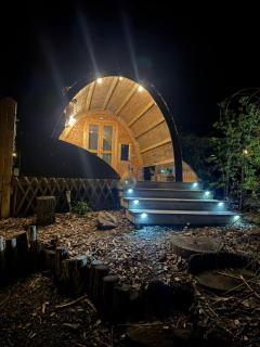 La cabane de l'étang - 1