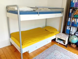 Spacious unique 150m2 apartment Geneva city center - 7