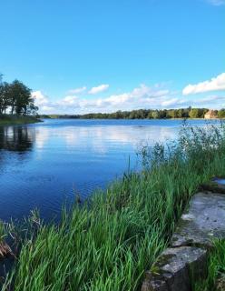 La cabane de l'étang - 4