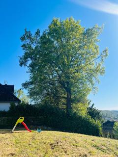 Appartement Figeac avec terrasse et jardin - 6