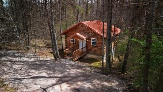 Cardinal's Crest - 8