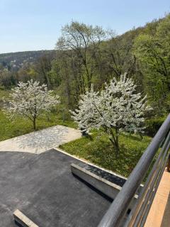 Fruškogorska bajka - 9
