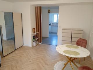 Apartament Niebieskie - 1