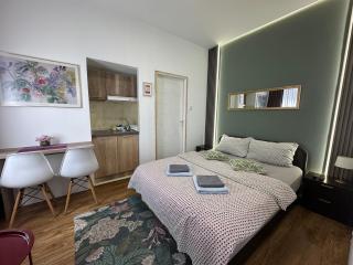 S&N Apartments Nis - 0
