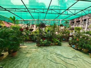 Perfect for Homely Atmosphere - 3