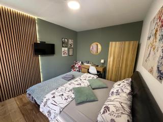 S&N Apartments Nis - 0