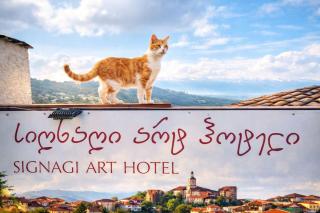 Sighnaghi Art Hotel - Sighnaghi - 8