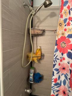 Shared Space with Private room in Beautiful Lakefront Apartment - 1