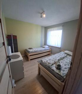 Agroturystyka nad stawem -  - 7