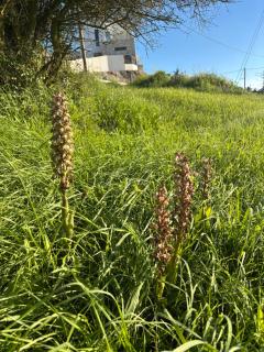 Stella Fyti Heights - Adults only - 5