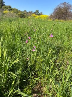 Stella Fyti Heights - Adults only - 6