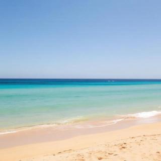 hedia a monastir - 1
