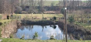 Agroturystyka nad stawem -  - 4
