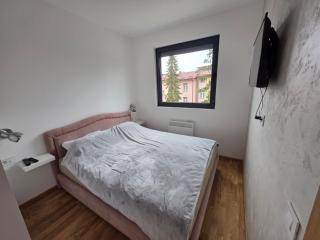 Ajsi apartman Zlatibor - 2
