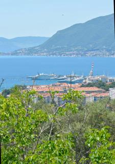 Zotina Residence - 7