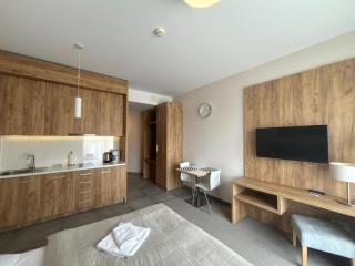 Apartment Wicca Czarna Góra - 9