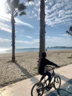 Apartament 2 sea view - 1