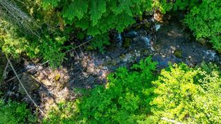 Tranquil Creekside Cabin - 7