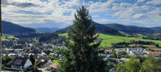 Schwarzwaldstübchen "Altas Montañas" mit Schwimmbad - 8