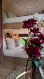 CRASH'NSTAY - Moppie Avenue - 4