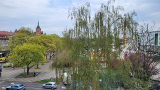 Apartament Politechnika Plac Krakowski - 9