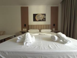 Hotel Sagittarius - 5
