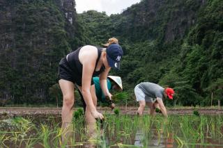 Tràng An Valley Retreat - 8