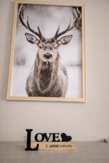 Antelao appartament Dolomiti piano terra - 1