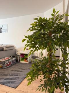 Stilvolles, helles Apartment am Schwarzwaldrand nahe Europa-Park, & Straßburg, 2 Zimmer Wohnung - 8