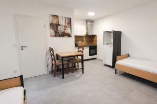 Beautiful Apartments in Worms - 4