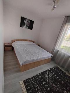 Nicoleta Apartment - 1