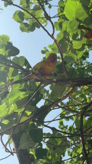 Amazonite Guesthouse - 7