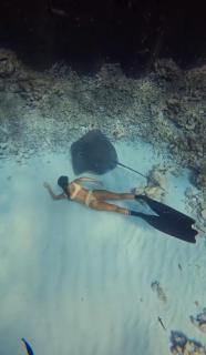 Amazonite Guesthouse - 4