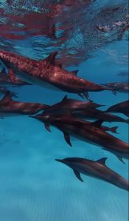 Amazonite Guesthouse - 1