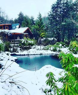 Pucón Magic forest - 7