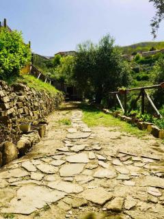 Cilento House with Garden & Sunset View - 3
