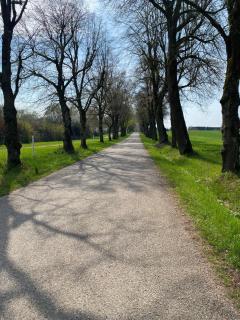 Modern Flat 5 Min from Altmuehlsee - 4