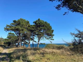 Seaside Escape in Helgenaes - By Traum Ferienwohnungen - 7