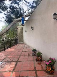 Arboleda Arteaga - Wild Animal Lodge - 7