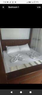 Noah's surf house - 1