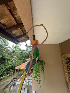 Casa em Tarituba, Paraty RJ - 9