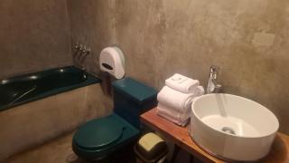 Eco Bunnu Inn Santa Ana - 2