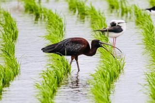 Starburst Bed & Breakfast宜蘭羅東星賞民宿 - 1