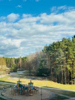 Гнёздышко - 9