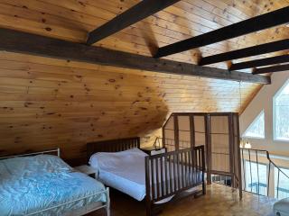 Chalet au pignon vert ski spa - 4