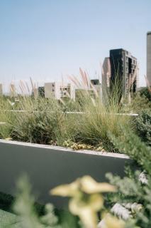 R&R Luxury Loft Providencia GDL - 8