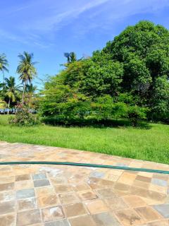 Golden Sun and Sand - 7